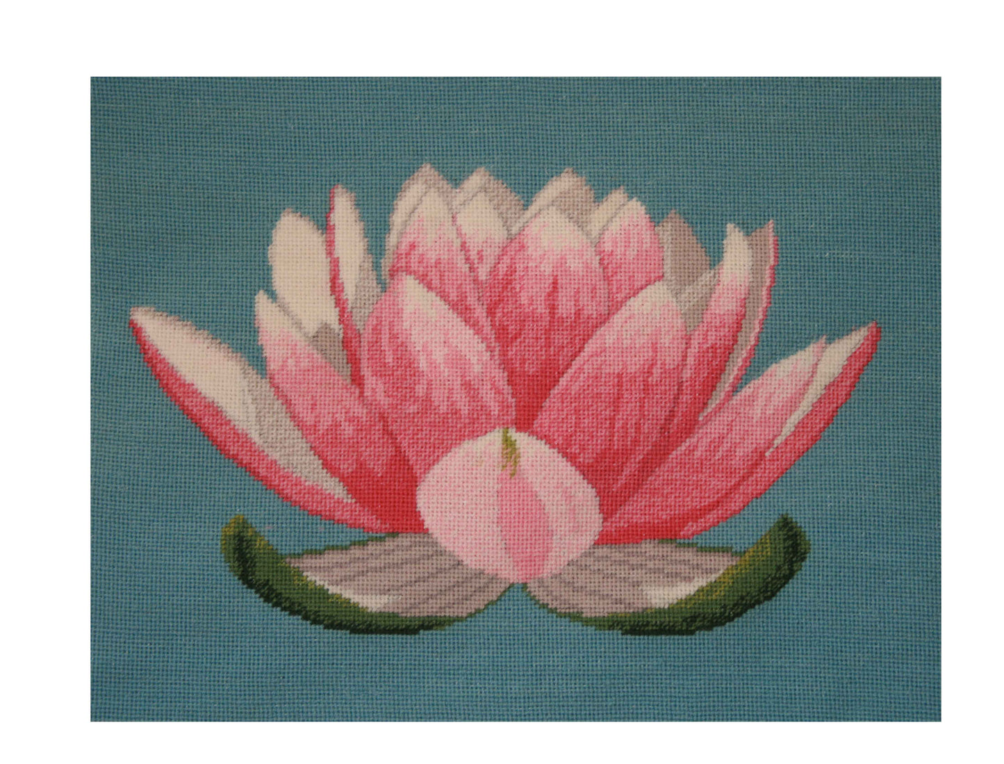 Lotus Flower