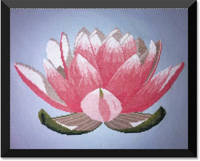 Lotus Flower