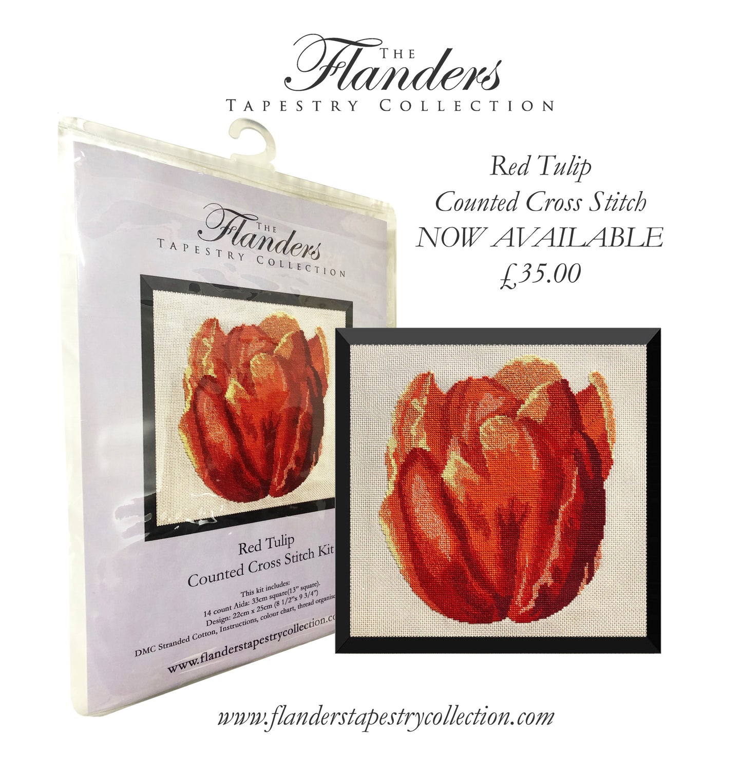 Red Tulip