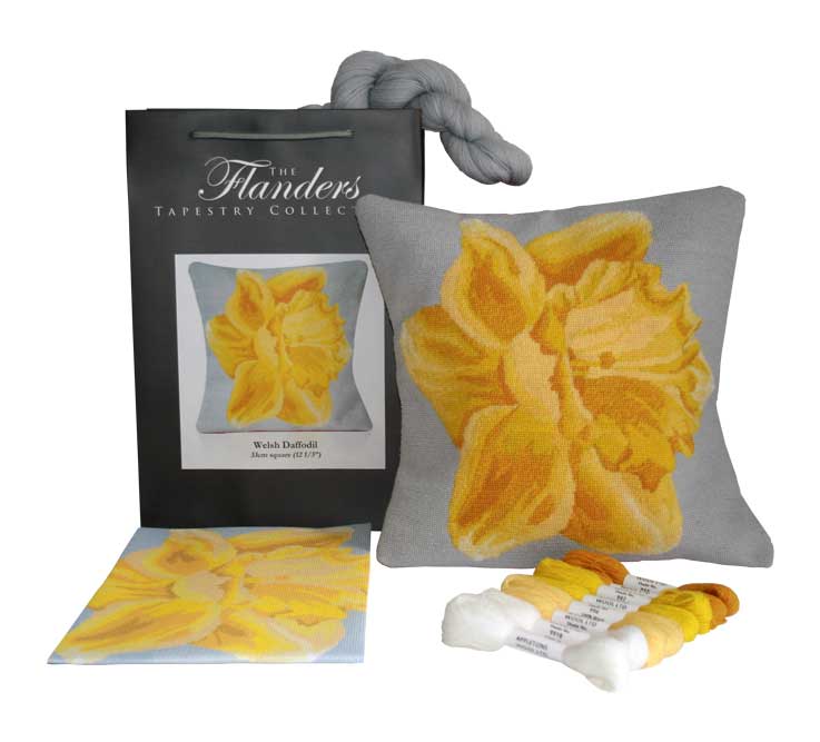 Welsh Daffodil