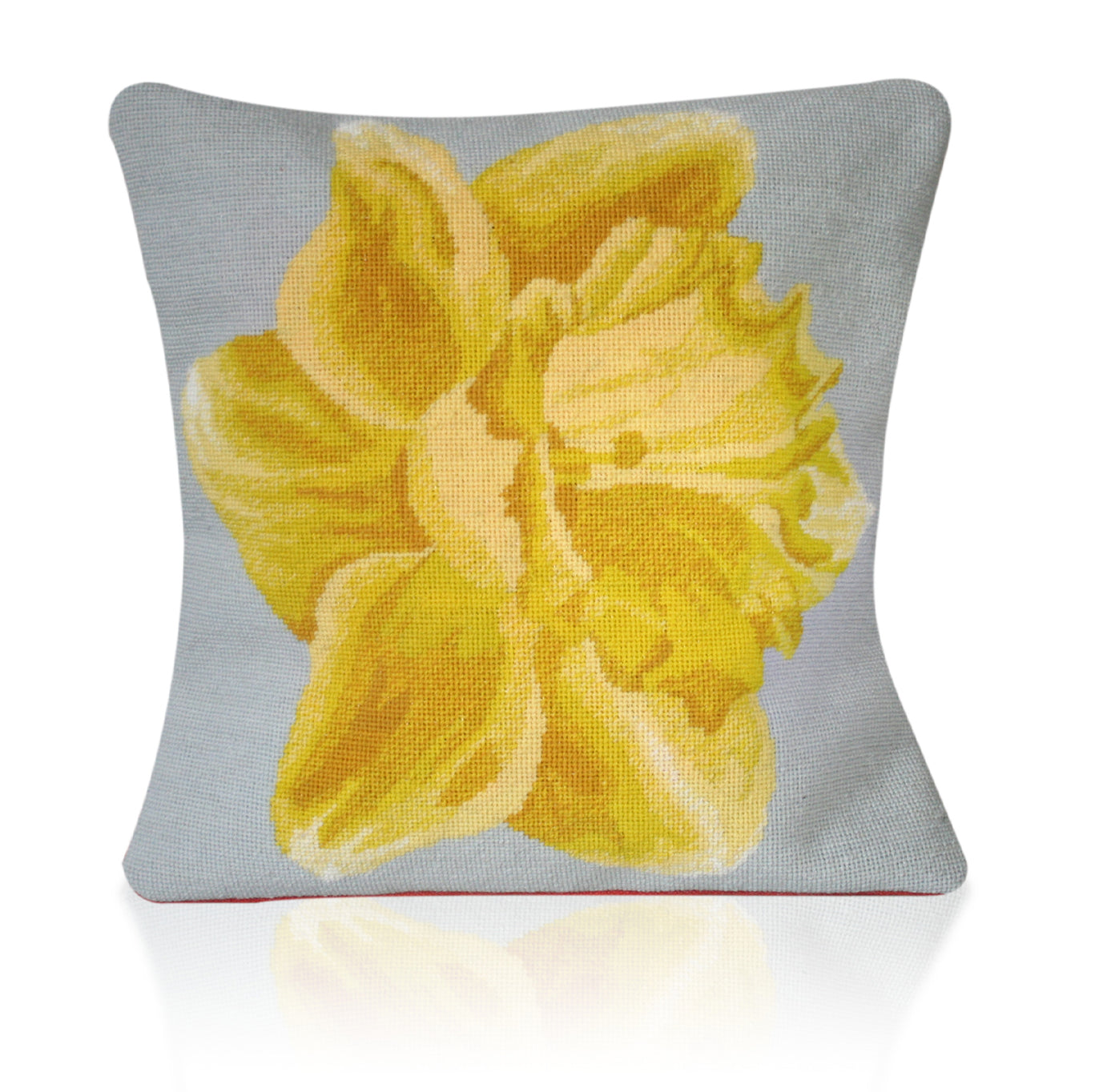 Welsh Daffodil