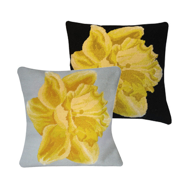 Welsh Daffodil