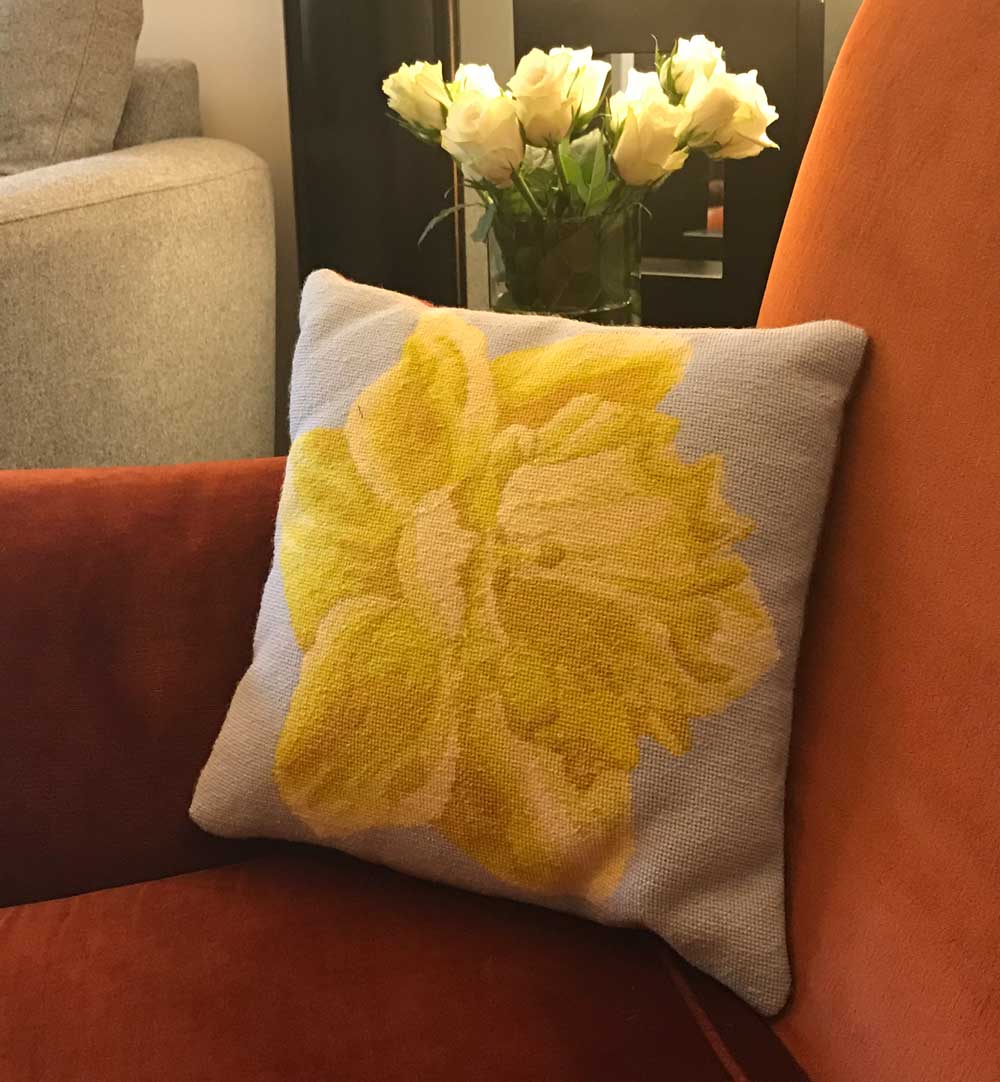 Welsh Daffodil